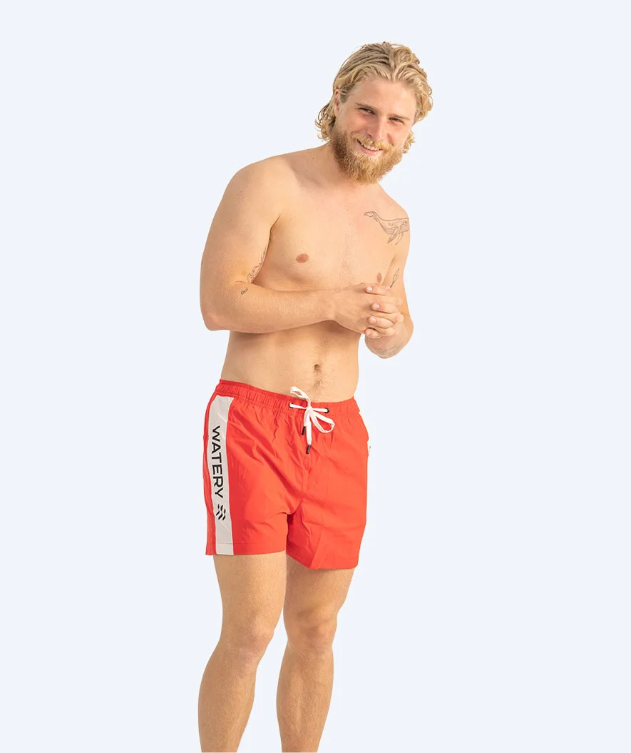 Miniatuur 2