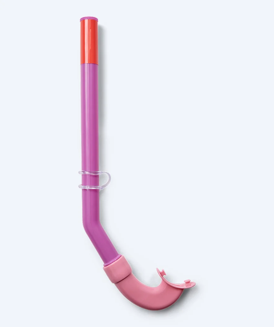 Miniatuur 8