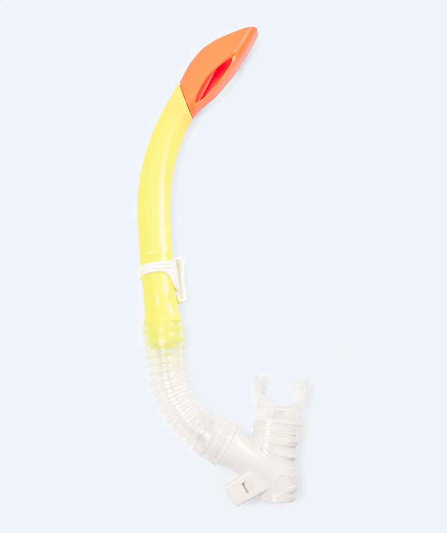 Miniatuur 3